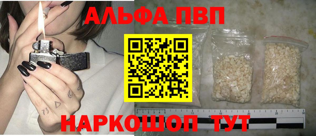 Alfa_PVP СК Орехово-Зуево